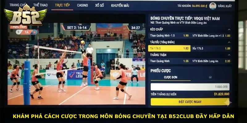 Khám phá cách cược trong môn bóng chuyền tại B52club đầy hấp dẫn